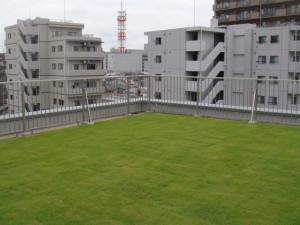 個人宅の屋上緑化(埼玉県)