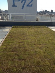 商業ビルDの屋上緑化（江戸川区）